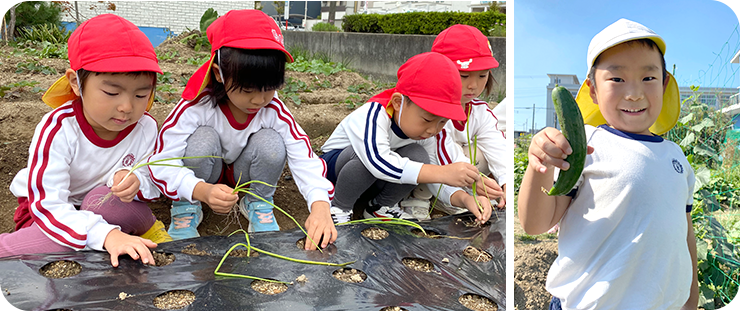 園舎のすぐ隣りにある畑